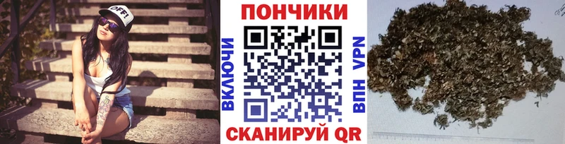 Бошки Шишки VHQ  магазин продажи наркотиков  мега ССЫЛКА  Ак-Довурак 